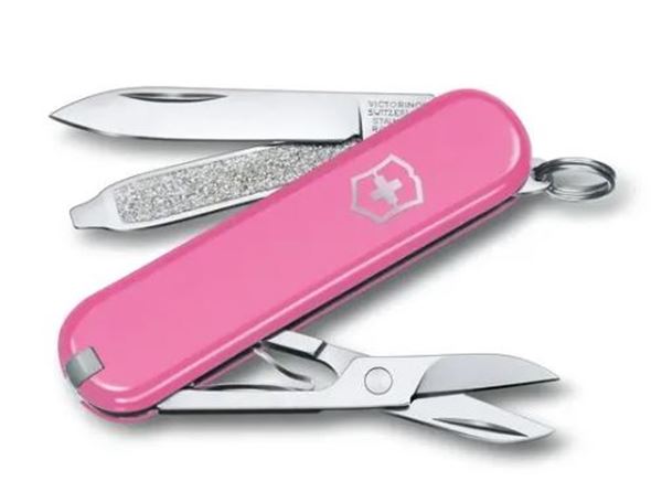 Picture of CLASSIC SD CHERRY BLOSSOM